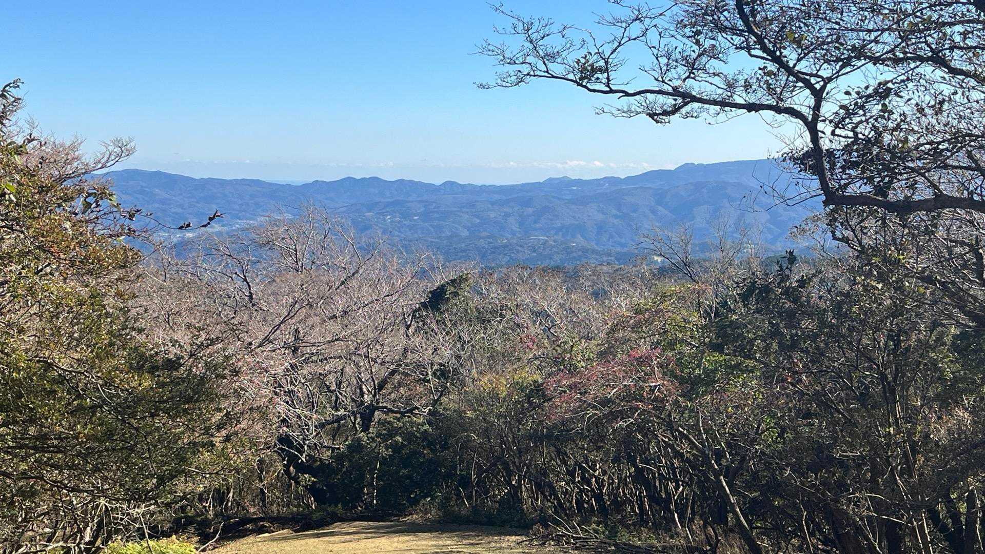 仁科峠-風早峠-魂の山-土肥峠-吉奈峠-棚場山-土肥峠-伽 縦走コースの写真
