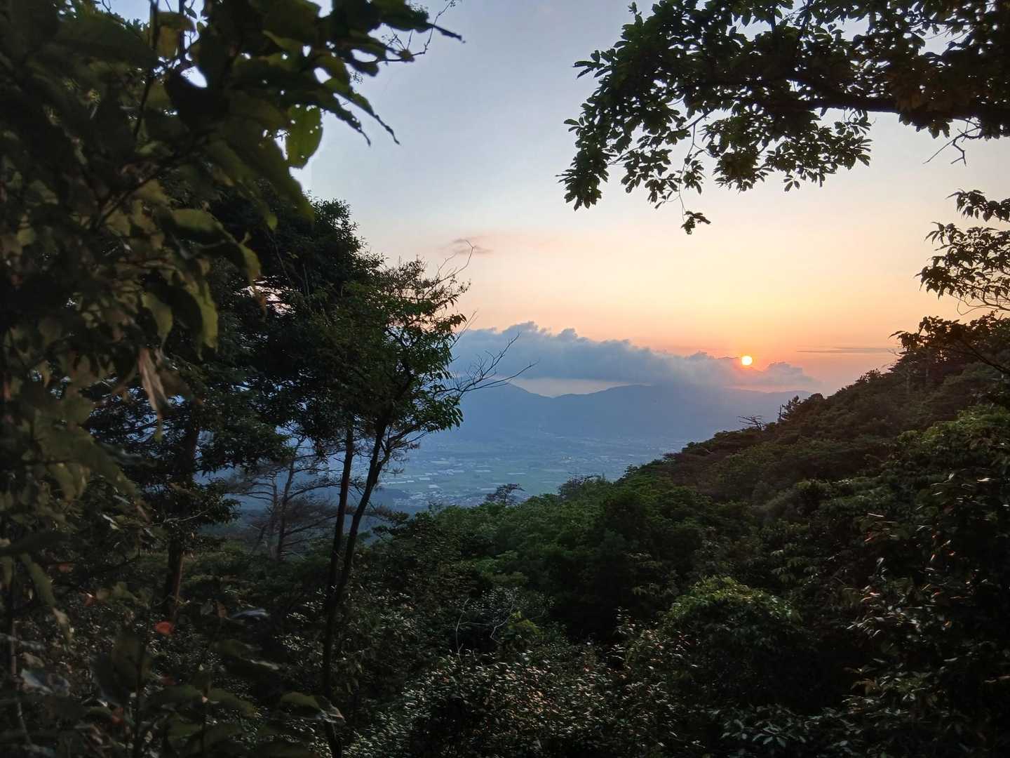 油山往復 | 福岡市街を見渡す定番ルートの写真