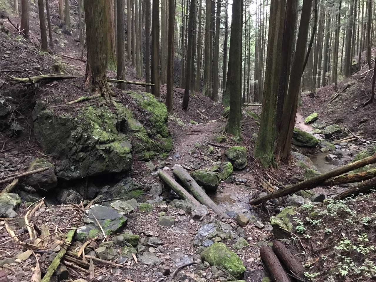 正丸駅-旧正丸峠-正丸山-正丸峠-伊豆ヶ岳登山口-伊豆ヶ岳 周回コースの写真