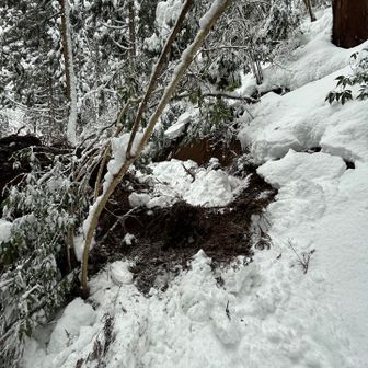 振り返ってみると、
えぐれてる穴は、
大きな🐻さんがまるまる入れるくらいあります