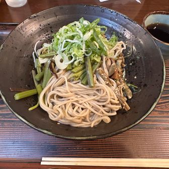 『婆さんや飯はまだか〜』
さっき食べたでしょ〜‼️って
また食べます(汗)
山本小屋の山菜ぶっかけ蕎麦
こちらも本当に美味しかった😋