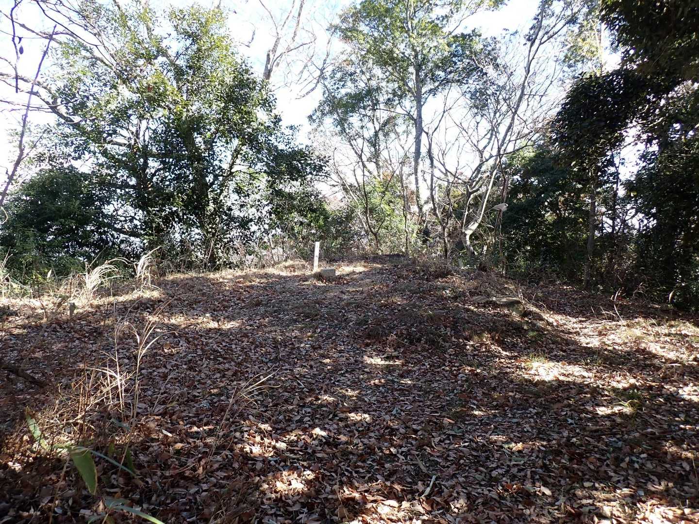 山頂トウチャク。平場で眺望無し