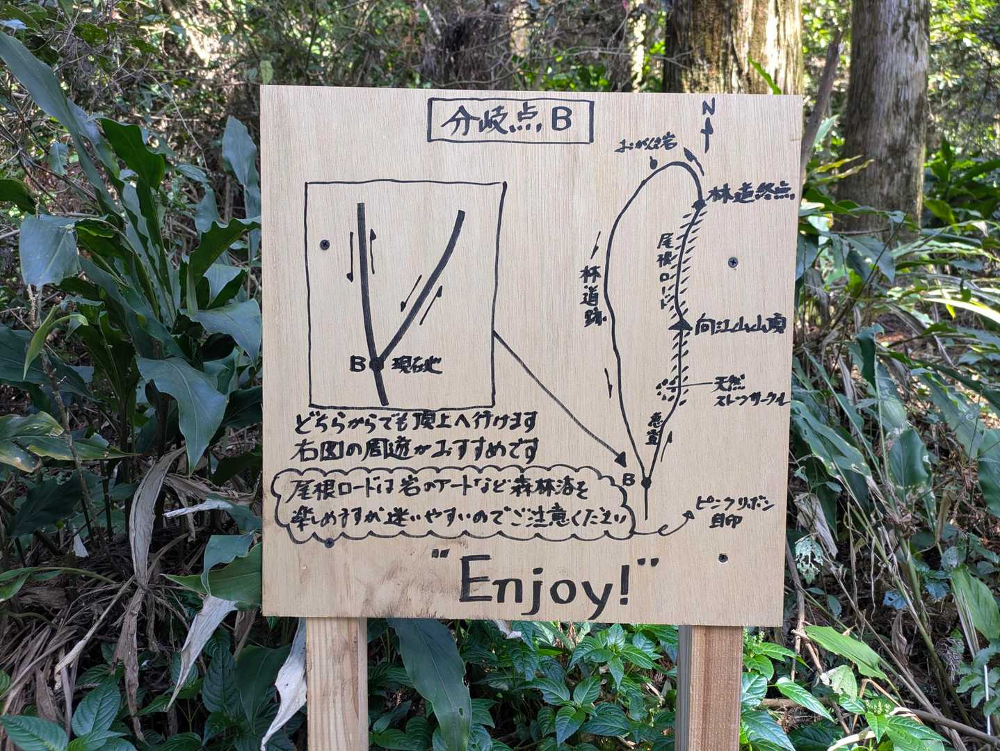 Enjoyしましょう