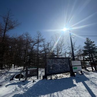 この天気☀️
この雪質⛄️