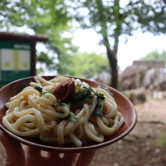 サクッとランチ🍽️