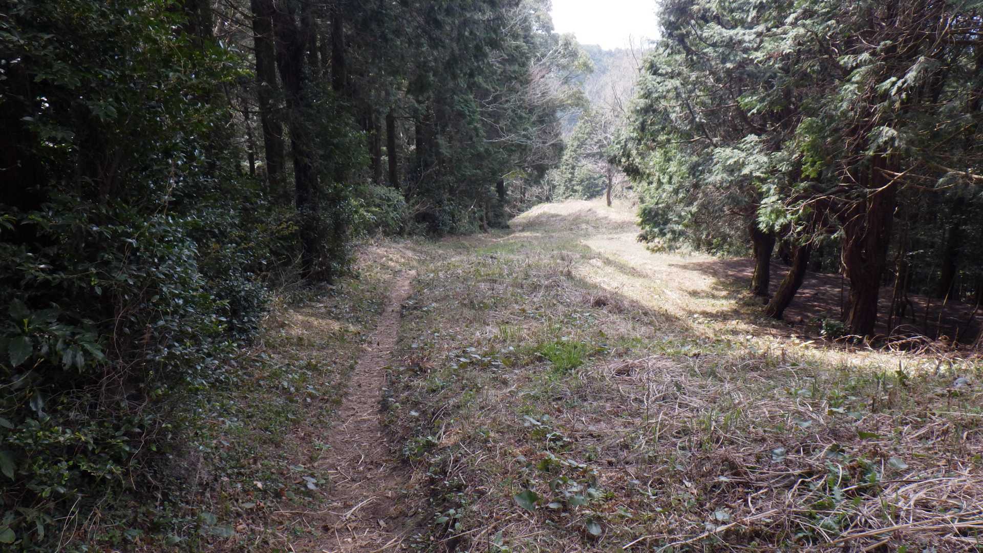 北峰-基山 周回コースの写真
