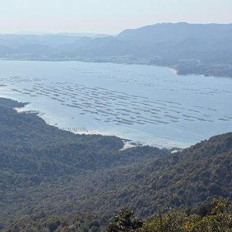 奥に行くと見晴らしの良い露岩があって、眼下に瀬戸内の養殖筏が沢山見えます。
牡蠣の養殖でしょうか？