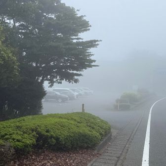 終始真っ白な山行でしたが、雨降られず良かった😆