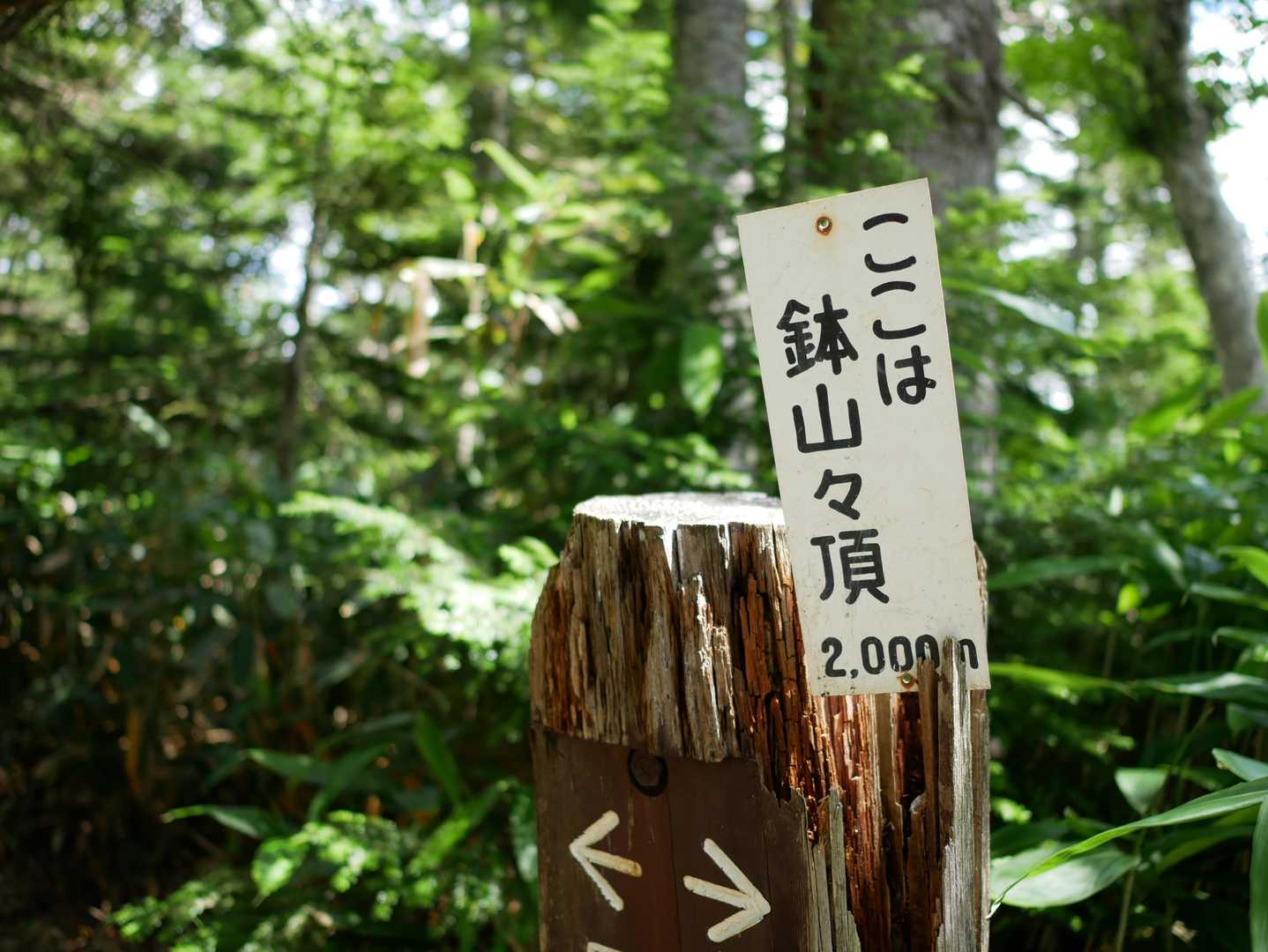 鉢山

火口湖の鉢池も藪で見えず、またルートもなし。