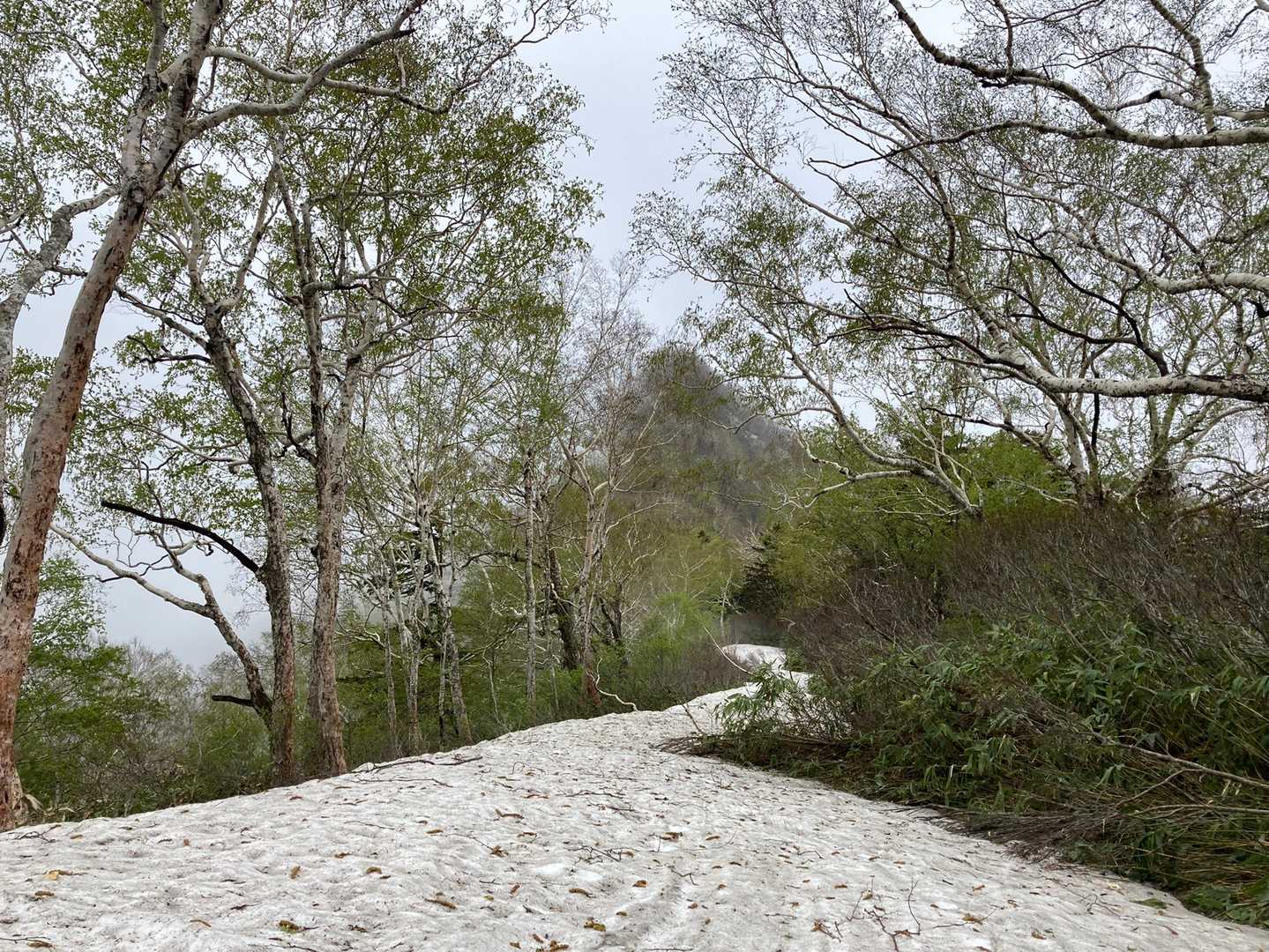 雪渓ロードの向こうには小夕張岳
霧に隠れて全容が見えないが、あれを登るのか〜！