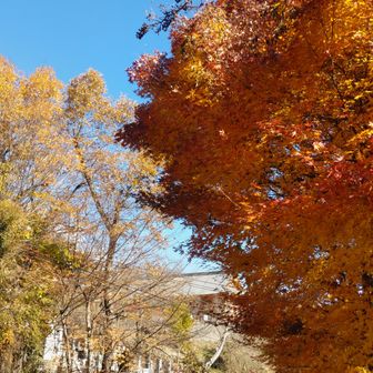 🐻に会うことなく雲上殿に帰着。スライド４、５名で静かな山歩でした😄おつかれ山！