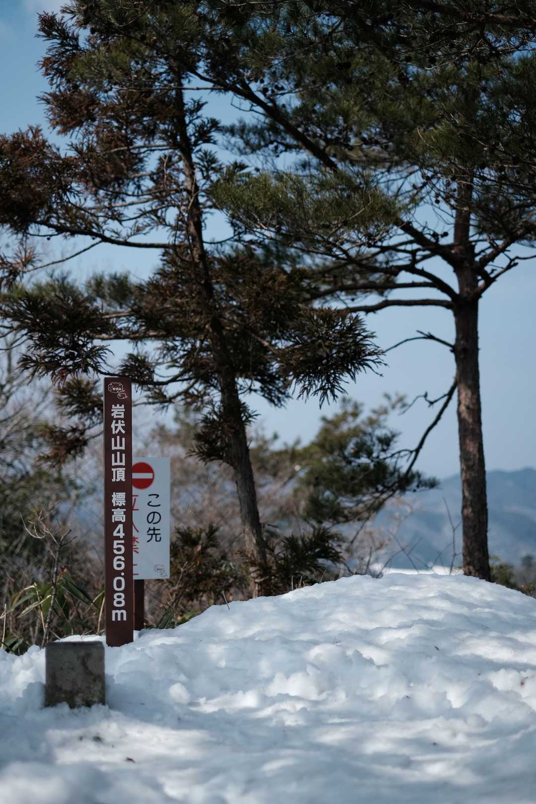 山頂につきました