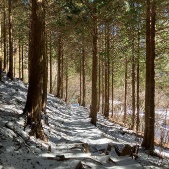もうすぐ終わり