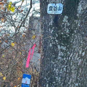 登谷山　標識の簡略化😀