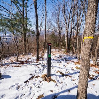 大音寺山山頂。展望はいまいちなので休まず進む