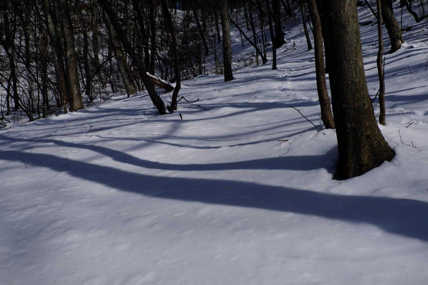 天狗山 周回コースの写真