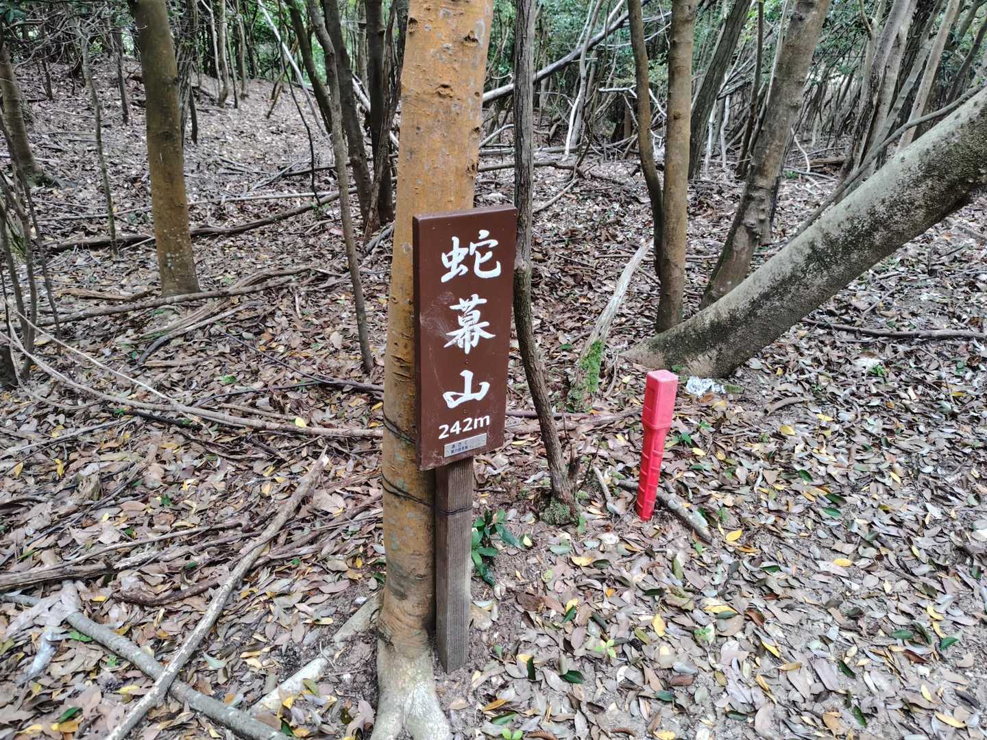 眺望なし。

ほぼ通り道😅。
ボーっとしてると、通り過ぎるかも。

そのまま先へ進めば、日浦山の方へ行けるはず。
日浦山も今回計画してたんだけど、時間の関係で来年以降へ🥲。

今日は、時間の関係でここでUターン。