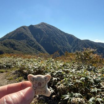 さっきまでいた荒島岳、ドーン💥です
最高です
コアラのマーチはこの時山頂にいた何人かの方にも食べていただきました😄