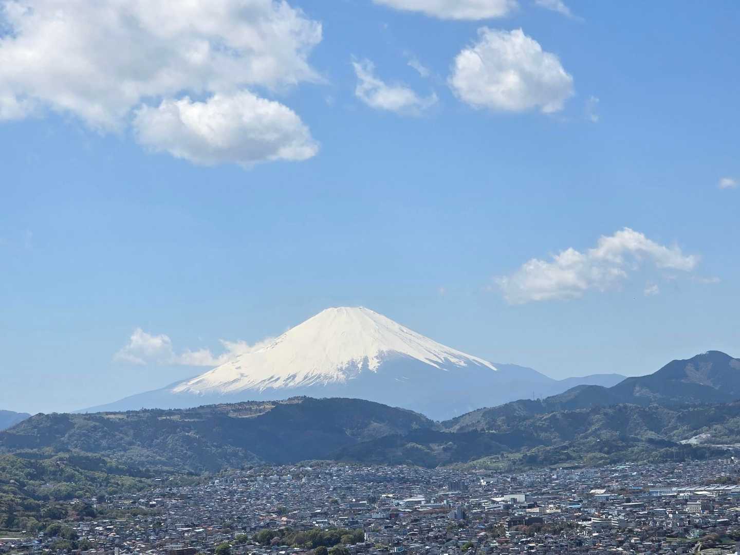 弘法山-吾妻山コースの写真