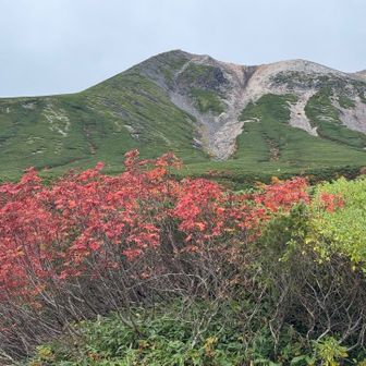 登山コースから見上げる稜線