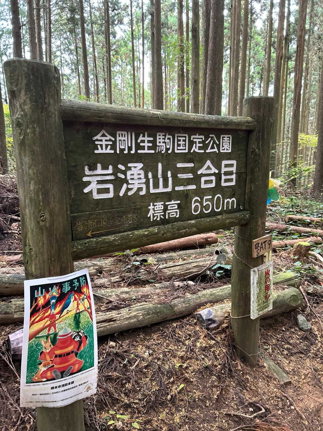 帰りは紀見峠に向かって下山します