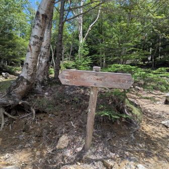 本来はここを先に撮っておくべきだった。道標の後ろが大日小屋のテント場。