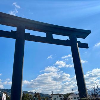 何度か見てるけど、平安神宮の鳥居が小さく感じる⛩️