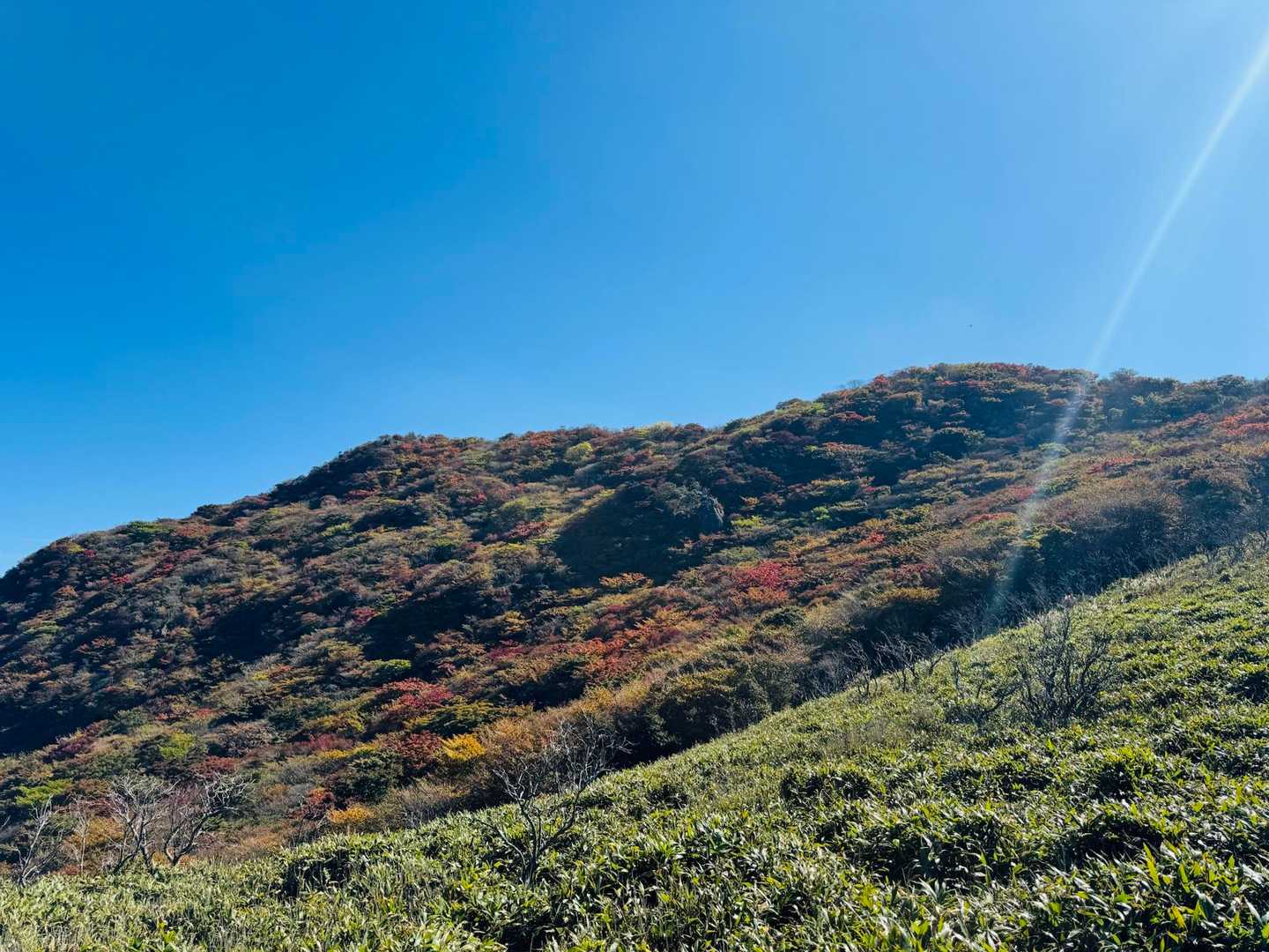 牧ノ戸峠-沓掛山-星生山-久住山-中岳-稲星山-稲星越-白 周回コースの写真