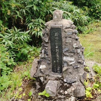 地元の小学校かな