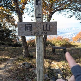 向山
登頂しましたぁ✨️

3年前とは違い
360°　眺め良し！
