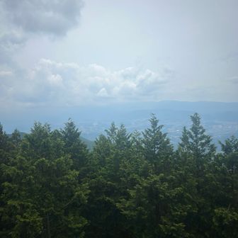 近場の恵那山まで雲隠れ
今日の眺望はアカン日でした