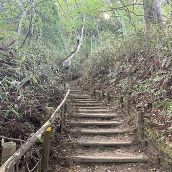 ちょっとだけ斜度が増した感じ。
