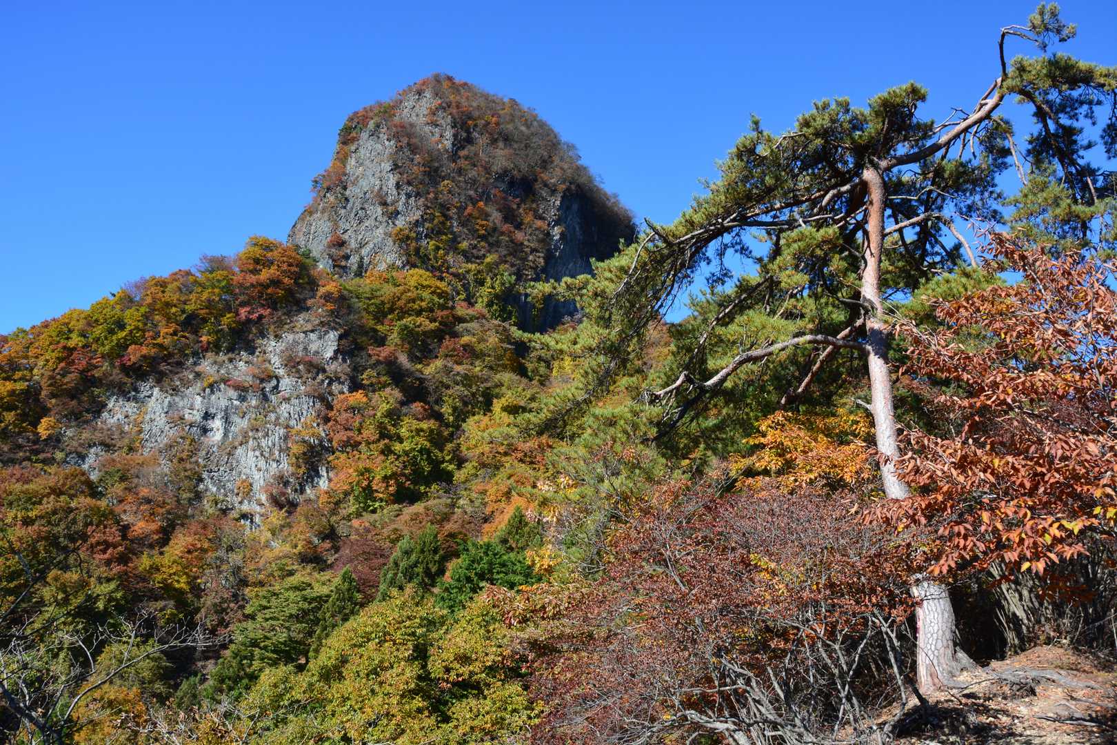 途中からの一ノ岳のＵＰ