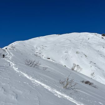山頂方面。まだまだ急登が続きます。バテてオーバーヒートしてましたが、谷川ブルー最高。
この景色だけで足が前に出ます。