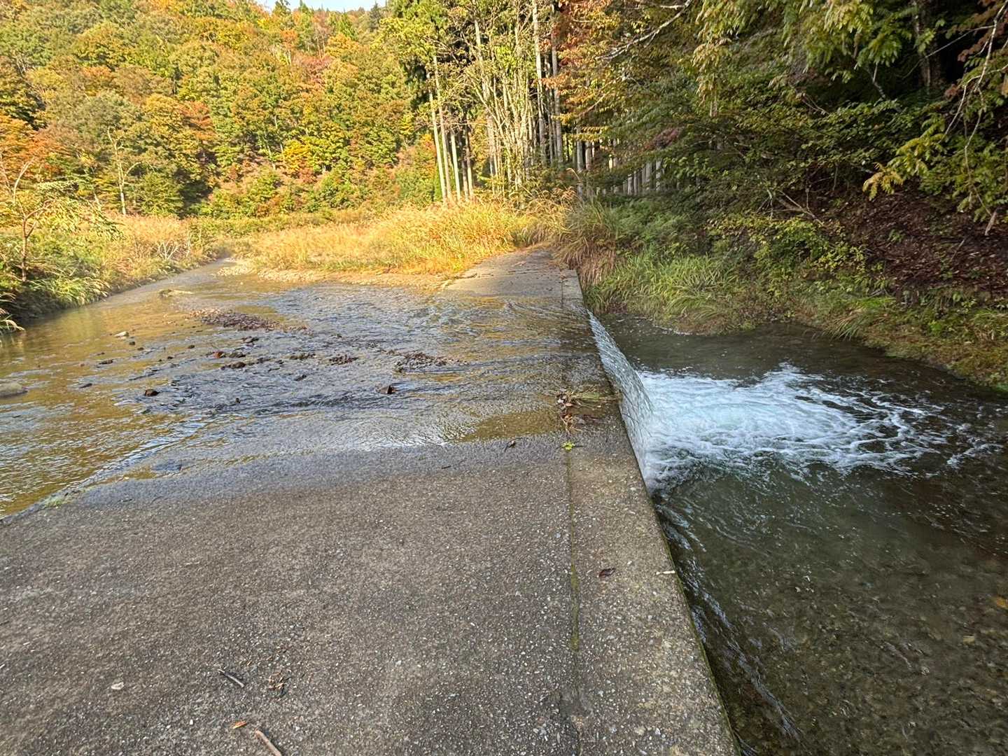 水がぁぁ💦💦
