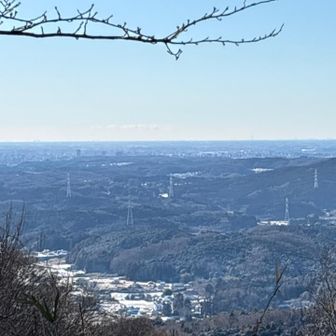 カメラだと見にくいかもしれないけど、スカイツリーも見えました✨