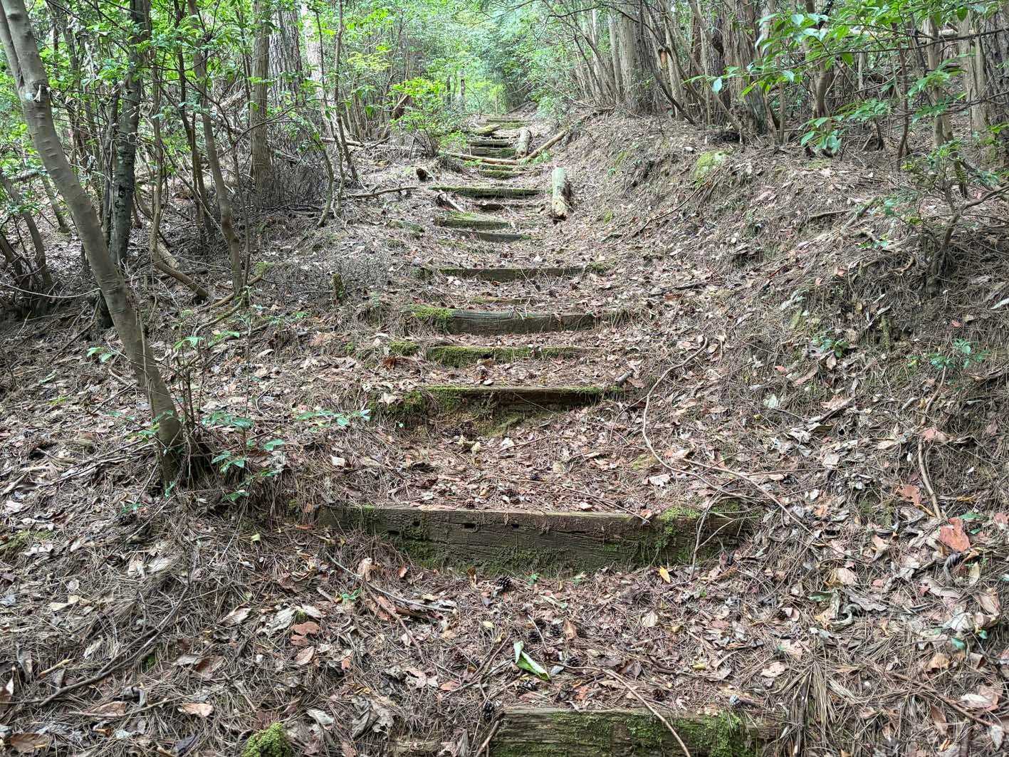 階段上り頑張る💪といってもそこまで勾配はきつくない☺️