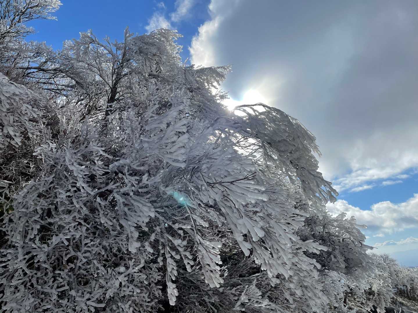 中登山口-御在所岳-国見峠 周回コースの写真