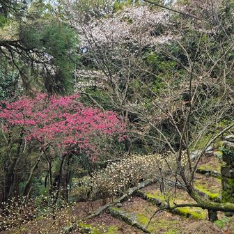 英彦山修験道館下