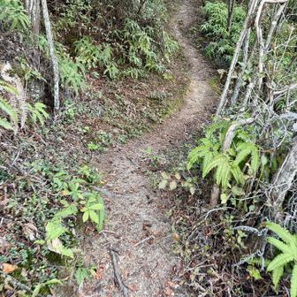 あらら、また登ります。
当たり前ですけど…😅