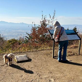 40分で山頂へ到着　11℃/微風で温暖