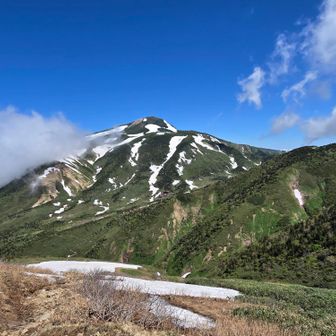 ピーカンと白山✨