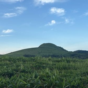 みそこぶしからの下山はやめたのです（笑）
