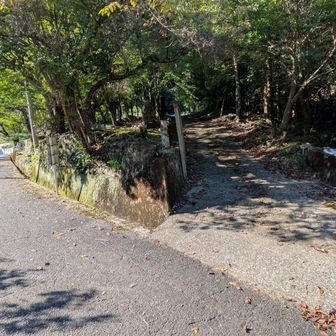 ここで気付きました
ほんとはここが登山口だったのだ
