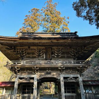 大矢田神社から出発です⛩️