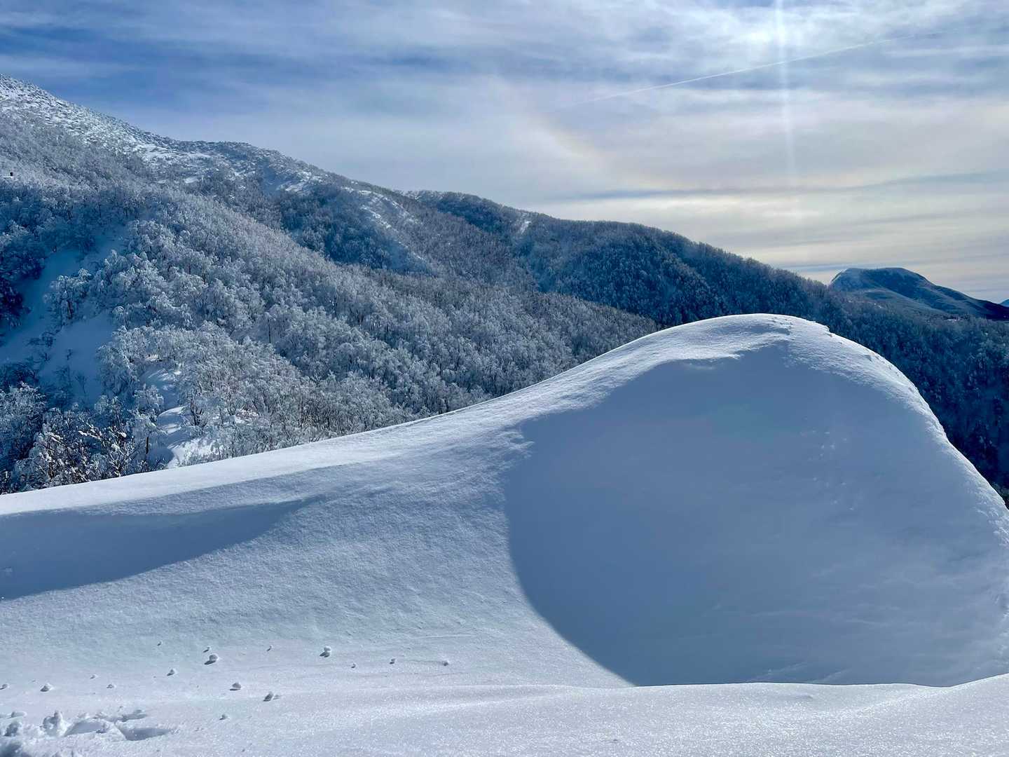 載せたい写真はいっぱいあるけど心の思い出📸
叩いたのは謝らない🤭