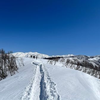 綺麗としか
表しようがない。
凄いしか言葉が出ない。