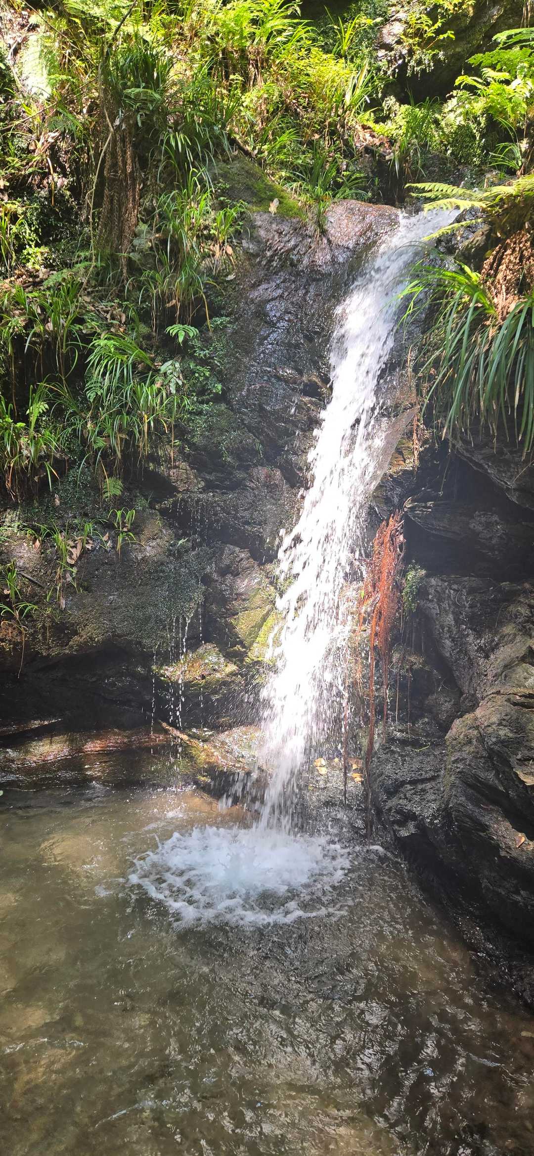 太平山-顔振峠 周回コースの写真