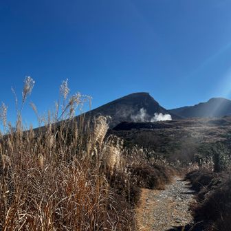 秋の名残だな…🍁🍂