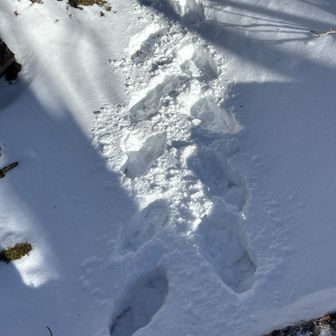 っても
ルート外れて　こんな訓練してますが😝